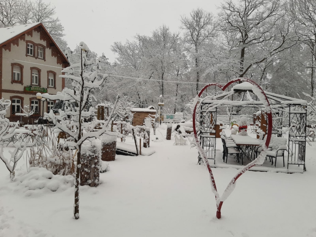 Bild zur Nachricht von Eisenhauer GmbH Waldidyll im Elsthal