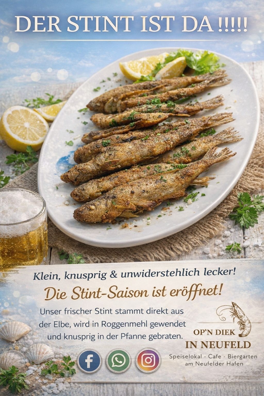 Bild zur Nachricht von Op'n Diek