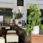 Foto zu Swing | Restaurant & Café: 