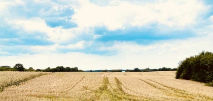 Bild von Hotel Restaurant Auerhahn