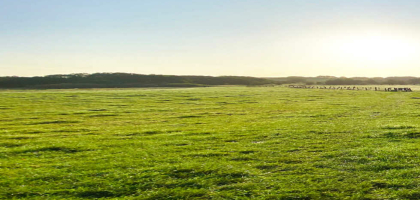 Bild von Hotel Restaurant Auerhahn