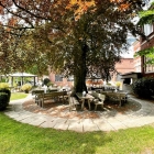 Foto zu Restaurant Schnürboden: Unsere alte Rotbuche im Biergarten