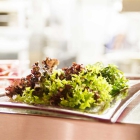 Foto zu Restaurant Elbsee: 