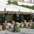 Foto zu Weinstock: 