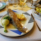 Foto zu Donauhotel: Saibling Müllerin Art