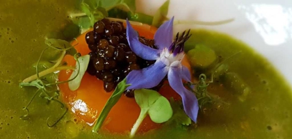 Bild von Restaurant Apicius im Romantik Hotel Jagdhaus Eiden