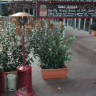 Foto zu Grill & Green: 