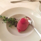 Foto zu Schloss Romrod: Sorbet - Hausgemachtes Himbeer Wasabi Sorbet mit Sakura Kresse
