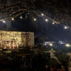 Foto zu Die Graifen | Weine - Leben - Essen: .