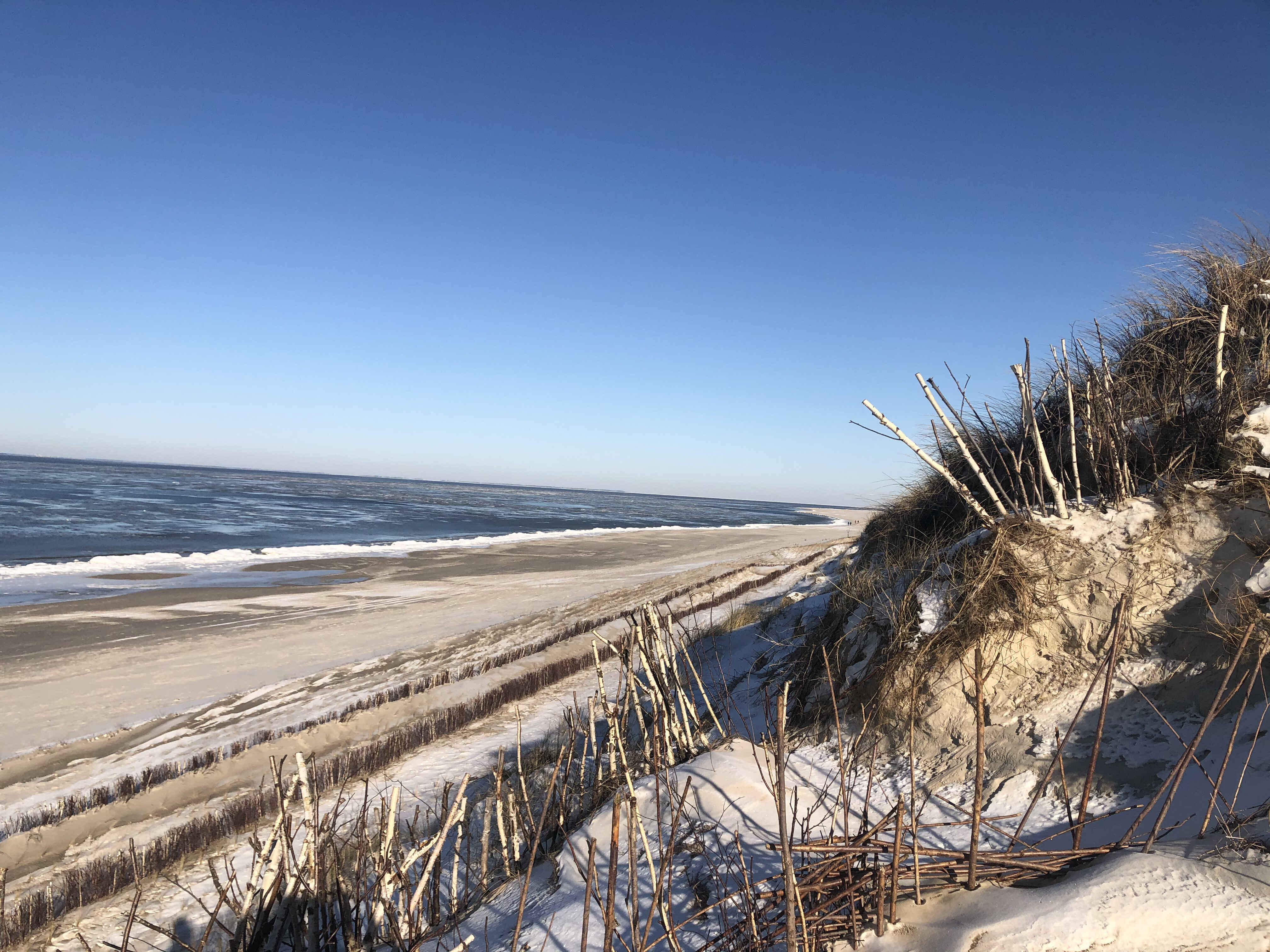 Bild zur Nachricht von Strand 33