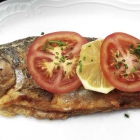 Foto zu Zur Daubiansmühle: Forelle