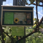 Foto zu Schäfer: Die kurze Terrassenkarte