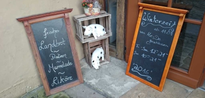 Fotoalbum: User Fotos