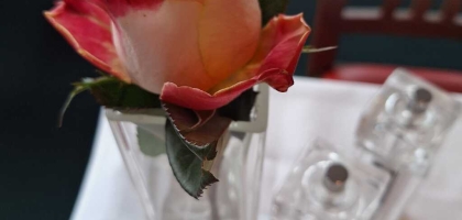 Fotoalbum: User Fotos