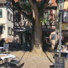 Foto zu Cafe am Markt: .