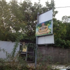 Foto zu Maryam´s Garten: 