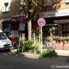 Foto zu Großer Kurfürst: 