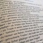 Foto zu 's Truderinger Wirtshaus: 