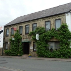 Foto zu Restaurant Zur Traube: 