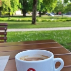 Foto zu Hotel Gasthof Zur Post: Kaffee im Biergarten