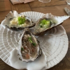 Foto zu Austernstube: 13.2.26