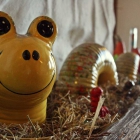 Foto zu Zum Holzwurm: 