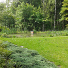 Foto zu Feengarten im Romantik Hotel Jagdhaus Waldidyll: 