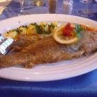 Foto zu Forellenhof: 