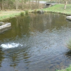 Foto zu Forellenhof: 