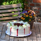 Foto zu Föhrer Teestube & Café: 