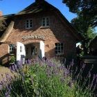 Foto zu Föhrer Teestube & Café: 