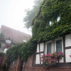 Foto zu Weinstube Hoppeditzel: 