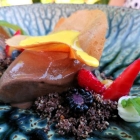 Schokosorbet mit selbstgemachtem Eierlikör auf Schoko-Erde