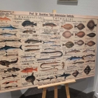 Foto zu Fischereihafen Restaurant & Fischereihafen Lloyd's: 