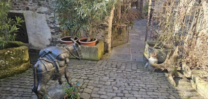 Bild von Alte Mühle · Weingut Thomas Höreth