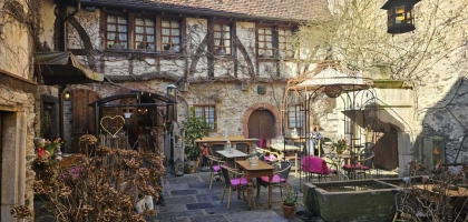 Bild von Alte Mühle · Weingut Thomas Höreth