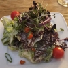 Vorspeisensalat
