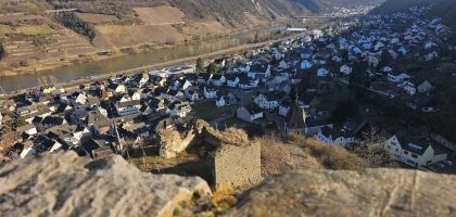 Bild von Alte Mühle · Weingut Thomas Höreth