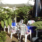 Foto zu Am Ruckshof: Unser Biergarten mit seinen Blumen.