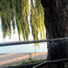 Foto zu Ristorante Riva: 