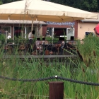 Foto zu Zur alten Fischräucherei: Terrasse am Teich