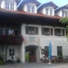 Foto zu Zum grünen Baum: Zum grünen Baum