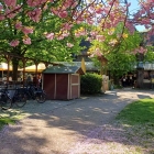 Foto zu Restaurant Forstbaumschule: 