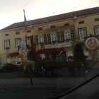 Foto zu Wilder Hirsch: 