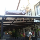 Foto zu Wilder Hirsch: 