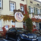 Foto zu Wilder Hirsch: 