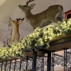 Foto zu Ristorante Roma: 