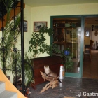 Foto zu Landhotel: 