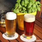 Foto zu Vaust | Brauereigaststätte & Weinbar: Vaust Pils und Vaust Dunkel