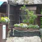 Foto zu Fischkate Uwe Fisch: 